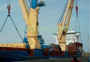 20T30m lasthåndtering marine kran
